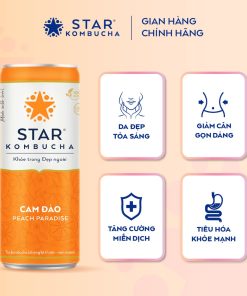 kombucha vị cam đào